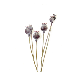 Sztuczny kwiat Makówki 68cm